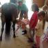 Josh Pounders: Farrier at Pony Camp